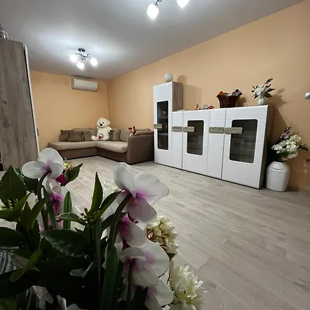 Konstantinovo Guest House 펜션 Konstantinovo