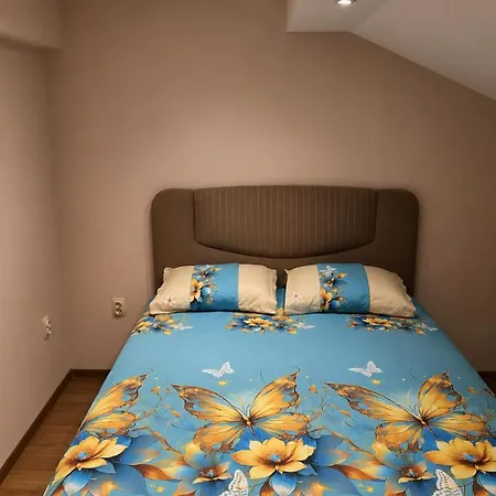펜션 Konstantinovo Guest House *